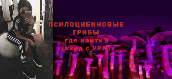 МДПВ Новокубанск