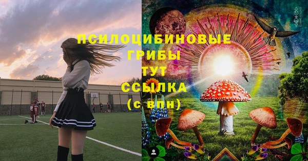 mdpv Новодвинск