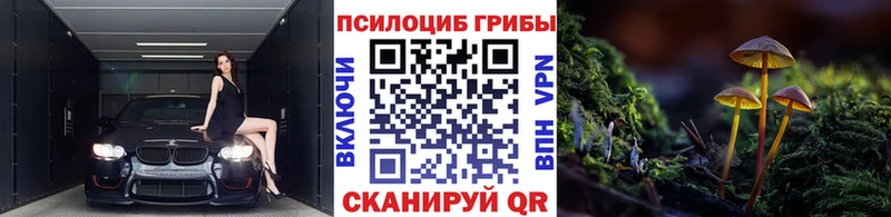 Галлюциногенные грибы Psilocybine cubensis  Бавлы 